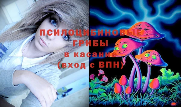 дживик Магас