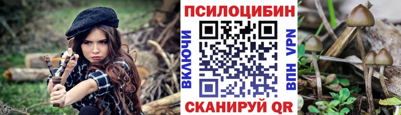 Купить где  Калтан  Псилоцибиновые грибы мухоморы 